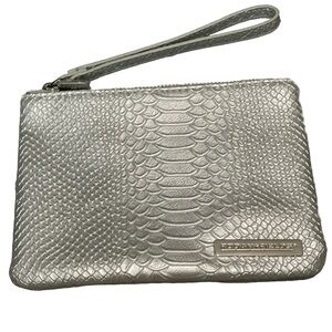 Rodan & Fields Silver Makeup Bag